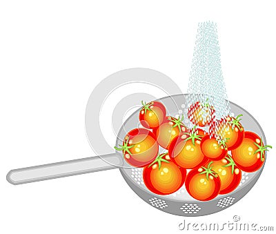 Ripe tomatoes are washed in a colander under a stream of cold water. According to the rules of hygiene, the collected vegetables Cartoon Illustration