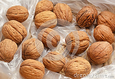 Wallnuts in a plastic bag Stock Photo