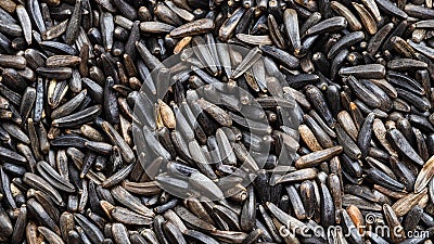 Ripe whole-grain niger seeds Guizotia Abyssinica Stock Photo