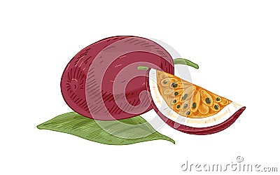 Ripe whole passion fruit, its cut juicy fleshy piece with seeds. Fresh sweet passionfruits with leaf. Tropical maracuja Vector Illustration