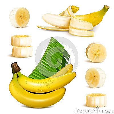 Ripe yellow banana Vector Illustration