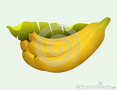 Ripe yellow banana fruits realistic juicy healthy vector illustration vegetarian diet freshness tropical snack dessert. Vector Illustration