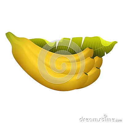 Ripe yellow banana fruits realistic juicy healthy vector illustration vegetarian diet freshness tropical snack dessert. Vector Illustration