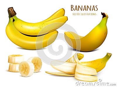 Ripe yellow bananas vector illustration Vector Illustration