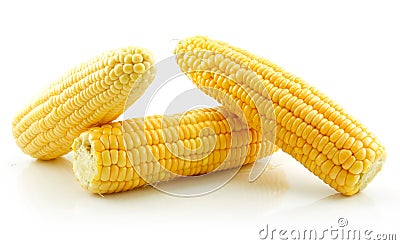 Ripe Yellow Corn Isolated on White Stock Photo