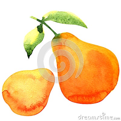 Ripe yellow pear on white background Stock Photo