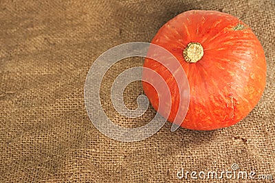 Riped orange pumpkin Stock Photo