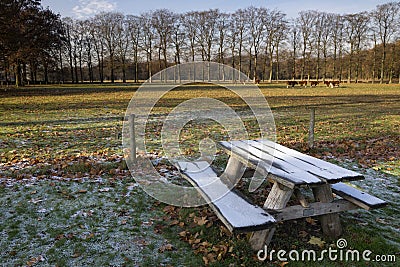 Riped picnic bench Stock Photo