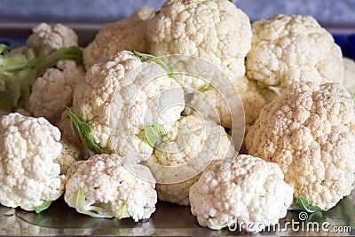The ripened heads of cauliflower are in a heap in the kitchen. Stock Photo