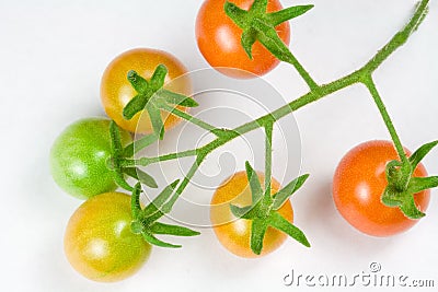 Ripening Cherry Tomatoes Stock Photo