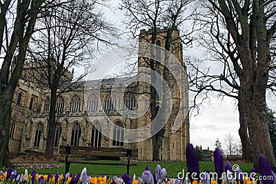 Ripon Cathedral Stock Photo