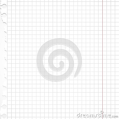 Ripped white squared with margin notebook paper sheet is on gray background Vector Illustration