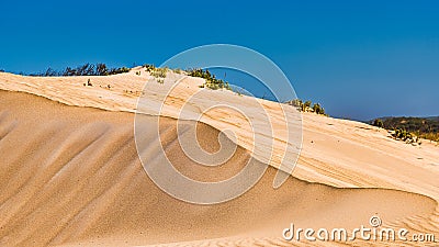 Rippled sand dunes at the Donnelly river mouth beach at Pemberton WA Stock Photo
