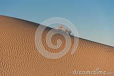 Ripples in dunes at Monahans Sandhills Stock Photo