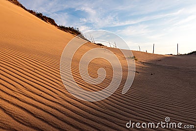 Ripples in the Dunes Stock Photo