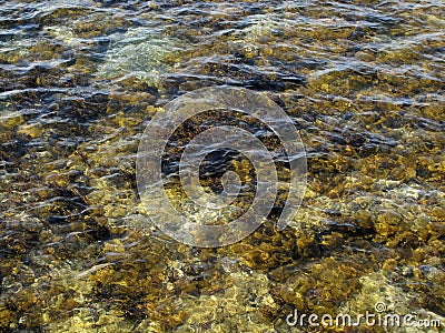 Rippling Sea Shallows Stock Photo