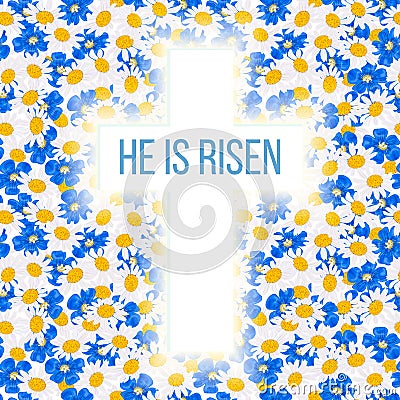 He is risen. Bible quote, Holy Cross on Daisy and blue flowers, forget-me-not, flax, chamomile wildflower background Vector Illustration