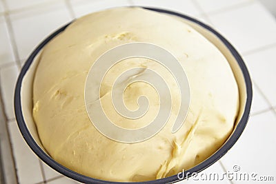 Rising bread dough Stock Photo