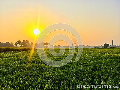 Rising sun in the indian farm Stock Photo