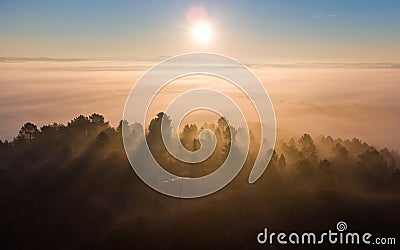 Rising sun on its cloudy veil. The shadow of the forest appears thanks to the sun's rays that light up the trees. Stock Photo