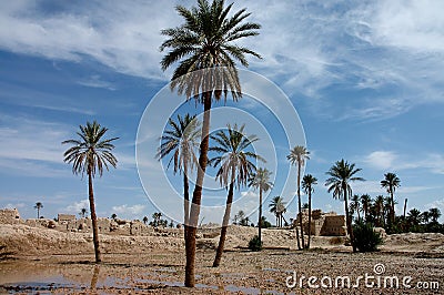 Rissani, Tafilalet, Sijilmassa in Morocco Stock Photo