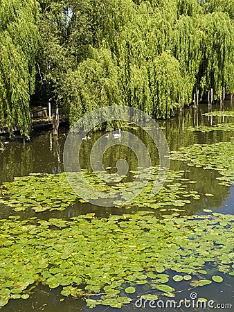 River Avon Stratford upon avon Stock Photo