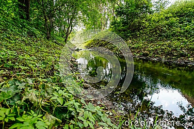 River banks in the forrest Stock Photo