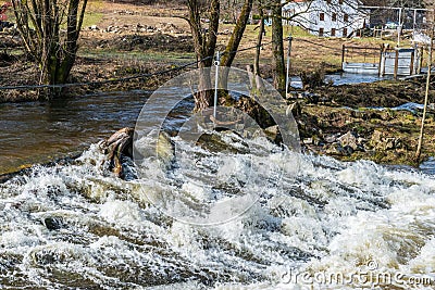 The river big Ohe in Grafenau at high water in spring, Germany Editorial Stock Photo