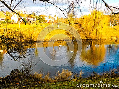 River birds yellow sky sunshine reflections nature Stock Photo