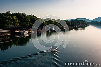 The river Bojana. Stock Photo