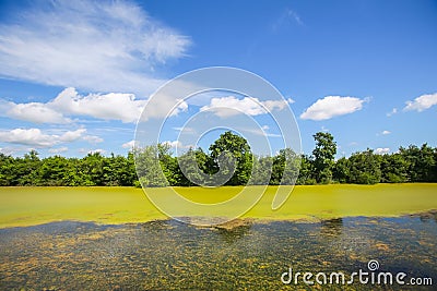 River Bosut in Vinkovci Stock Photo