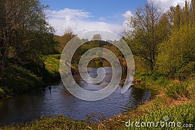 a river in Burk Gilman trail in Redmond, Wahingron Stock Photo