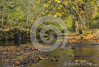 River beside canal path at Uppermill Stock Photo