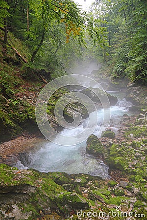 River in Canyon Vintgar - Slovenia Stock Photo