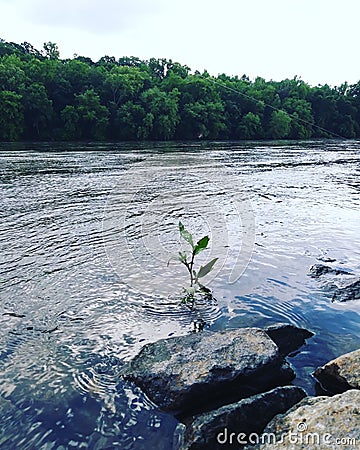 River catawba south Carolina treeline sky green water flowing fishing vacation riding boat rest leisure and blue Stock Photo