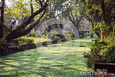 River channel city Allapuzha, India, Kerala. Stock Photo