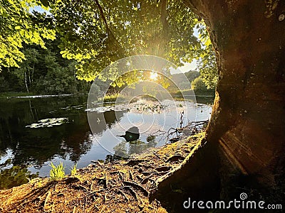 River Cong (Ireland) Stock Photo