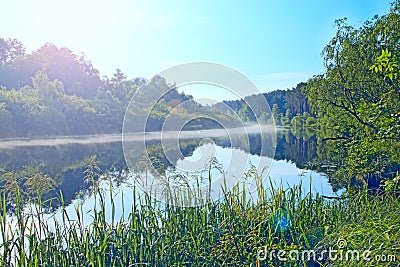 River is covered with fog at dawn. Forest is reflected in the river in summer Stock Photo