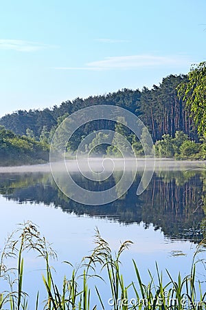 River is covered with fog at dawn. Forest is reflected in the river in summer Stock Photo