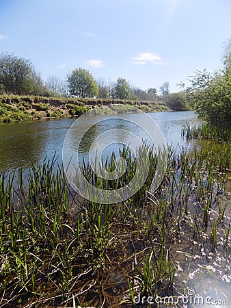 River at Crookham, Northumberland, England Stock Photo