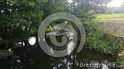 River Culm , Hemyock ,Devon , Uk Stock Photo