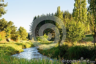 A river in the early morning in Waikato, New Zealand Stock Photo