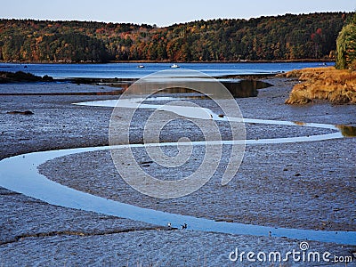 River Estuary, Low Tide Stock Photo