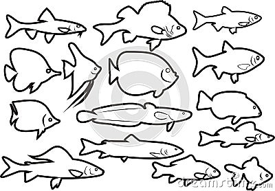 River fish Vector Illustration