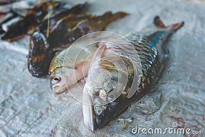 Mekong river fishes market Stock Photo