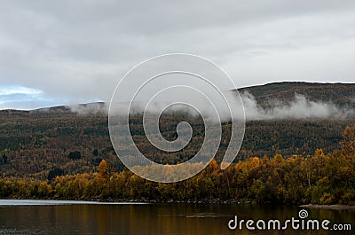 River flow and colourful autumn forest Stock Photo