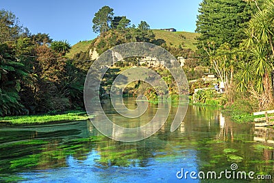 River flowing from the beautiful Blue Spring, Te Waihou, New Zealand Stock Photo