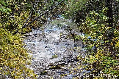 River flowing down the mountain surrounded by rocks and autumn colored leaves Stock Photo