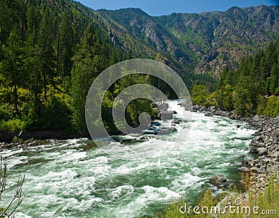 A River Flowing Through a Mountain Forest Stock Photo