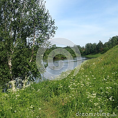 The river flows between forest and meadow Stock Photo